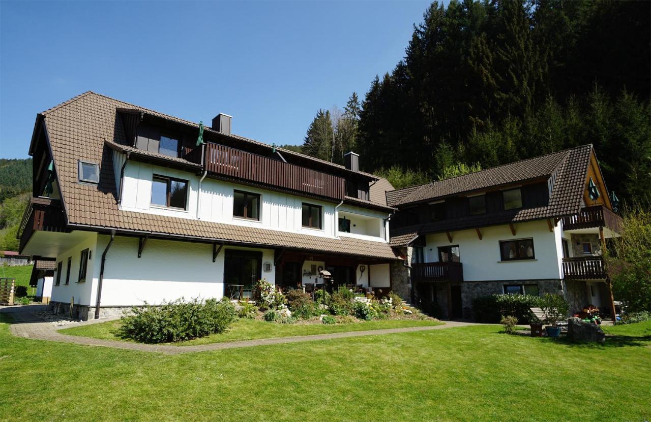 Hoellkopf - Stubenhof, Black Forest 西蒙斯瓦尔德 外观 照片