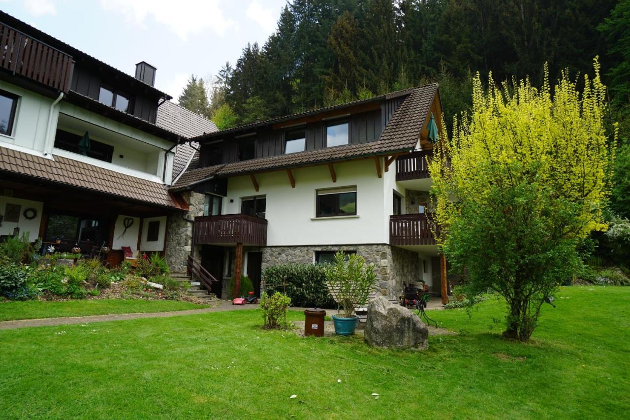 Hoellkopf - Stubenhof, Black Forest 西蒙斯瓦尔德 外观 照片